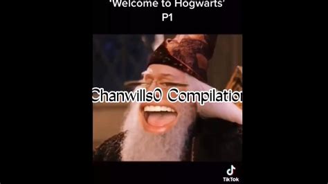 chanwills0 youtube complete harry potter.